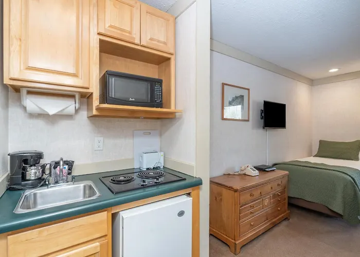 Mountainside Inn 409 By Alpine Lodging Telluride